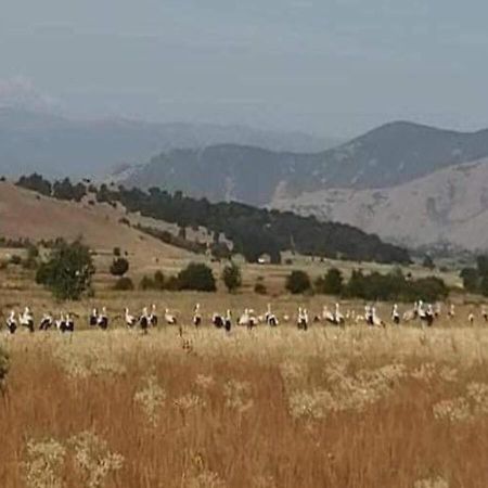 דירות Petrovec Airport Shtrkovi - Storks מראה חיצוני תמונה