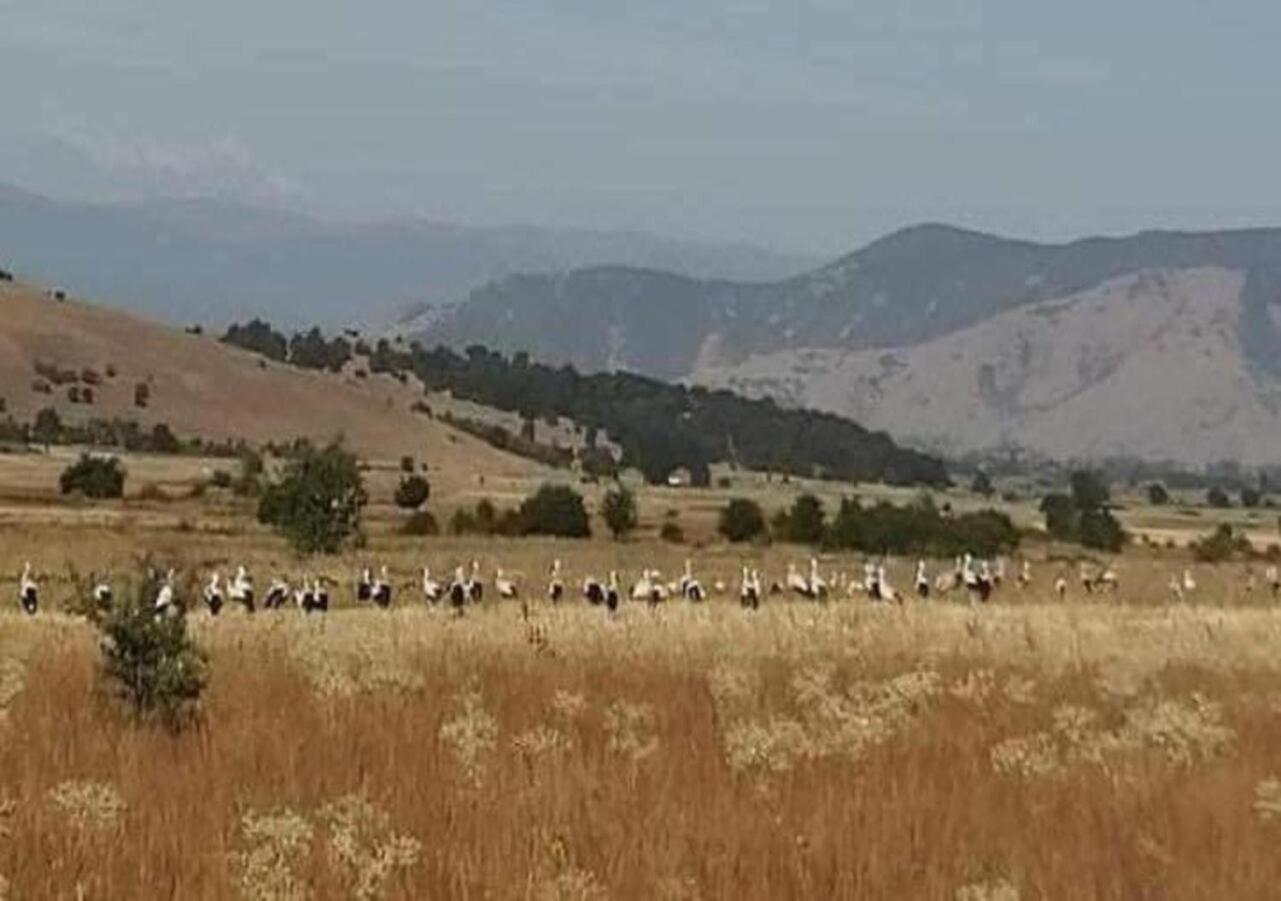 דירות Petrovec Airport Shtrkovi - Storks מראה חיצוני תמונה